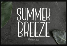 Summer Breeze Font Poster 1