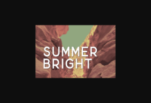 Summer Bright Font Poster 1