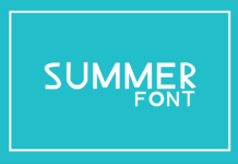 Summer Font Poster 1