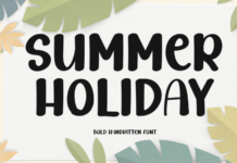 Summer Holiday Font Poster 1