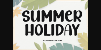 Summer Holiday Font Poster 1