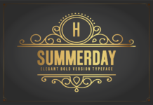 Summerday Bold Font Poster 1