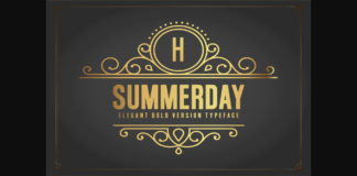 Summerday Bold Font Poster 1