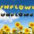 Sunflower Font