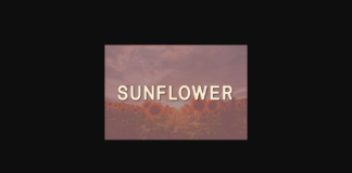 Sunflower Font Poster 1