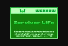 Survivor Life Font Poster 1