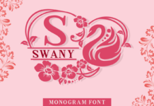 Swany Font Poster 1