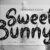 Sweet Bunny Font