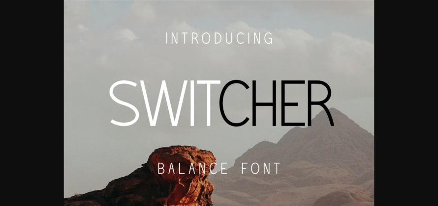 Switcher Font Poster 3