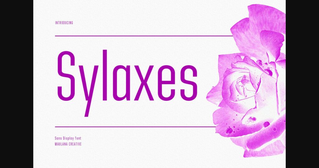 Sylaxes Font Poster 3