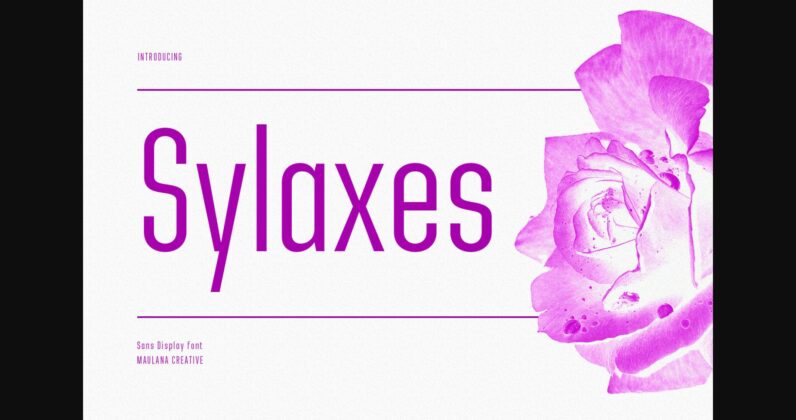 Sylaxes Font Poster 3