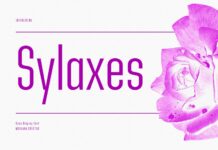 Sylaxes Font Poster 1