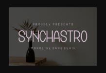 Synchastro Font Poster 1