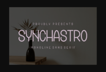 Synchastro Font Synchastro Font Poster 1