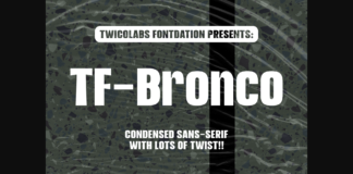 TF-Bronco  Font Poster 1