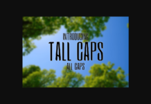 Tall Caps Font Poster 1