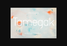 Tamegak Font Poster 1