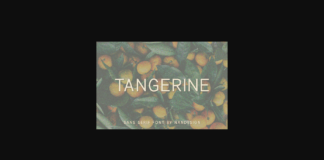 Tangerine Font Poster 1