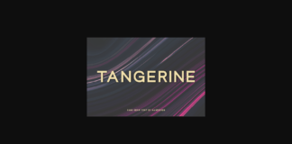 Tangerine Font Poster 1