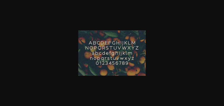 Tangerine Font Poster 4