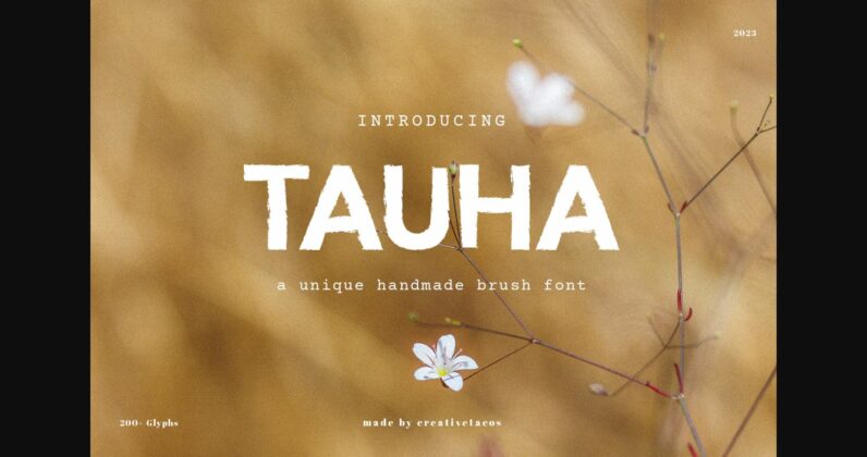 Tauha Font Poster 3