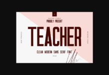 Teacher Font Poster 1