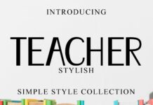 Teacher Stylish Font Poster 1