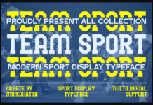 Team Sport Font Poster 1