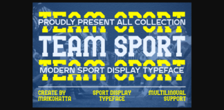 Team Sport Font Poster 1