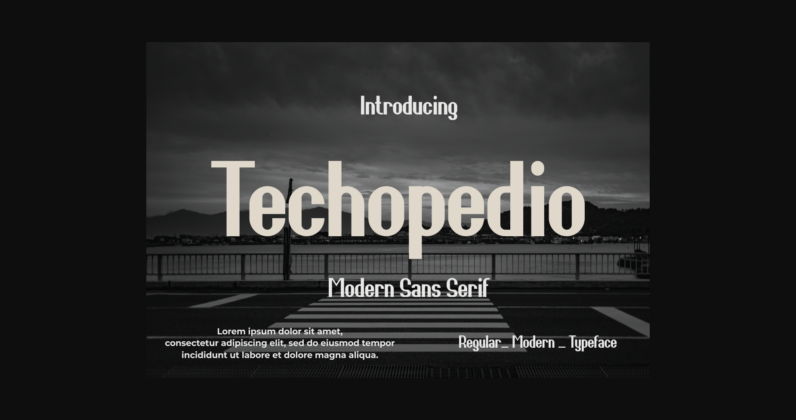 Techopedio Font Poster 3
