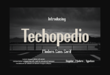 Techopedio Font Poster 1