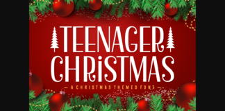 Teenager Christmas Font Poster 1