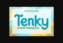 Tenky Font Poster 1