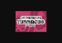 Terraces Font Poster 1