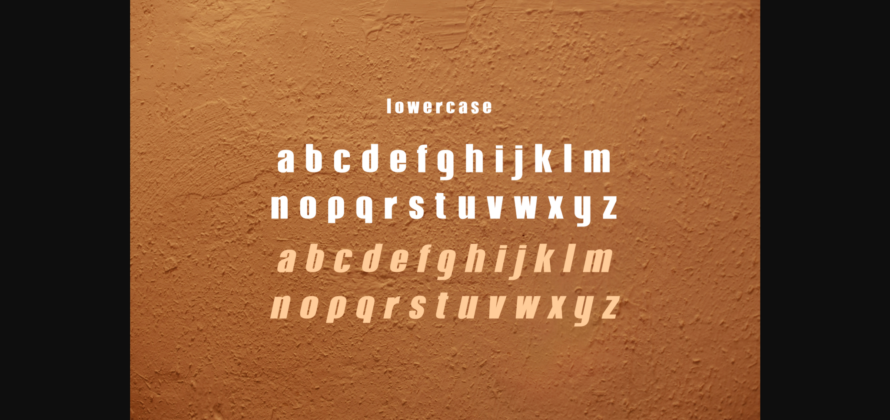 Terracota Font Poster 11