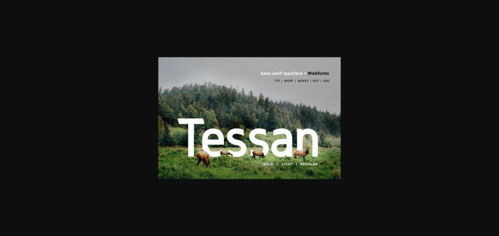 Tessan Font Poster 3