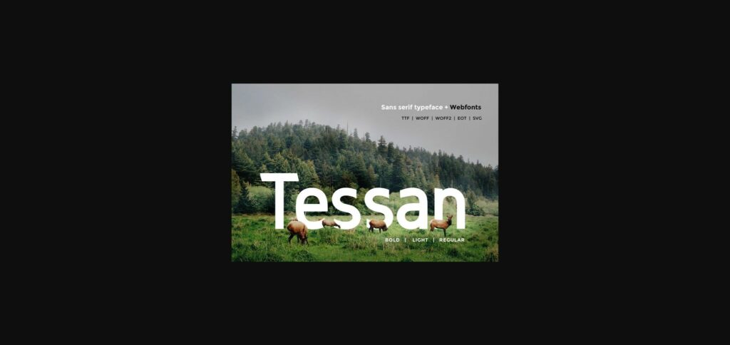 Tessan Font Poster 1