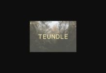 Teundle Font Poster 1