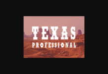 Texas Professional Font Poster 1