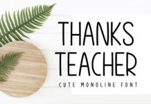 Thanks Teacher Font Poster 1