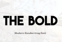 The Bold Font Poster 1