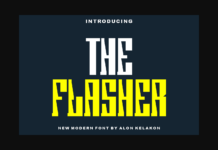 The Flasher Poster 1