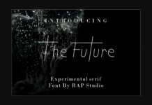 The Future Font Poster 1