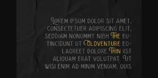 The Oldventure Font Poster 1