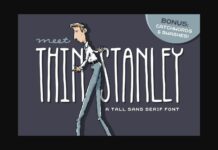 Thin Stanley Font Poster 1