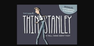 Thin Stanley Font Poster 1