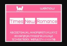 Times New Romance Font Poster 1