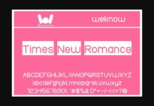 Times New Romance Font Poster 1