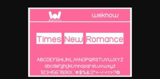 Times New Romance Font Poster 1