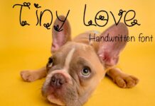Tiny Love Font Poster 1